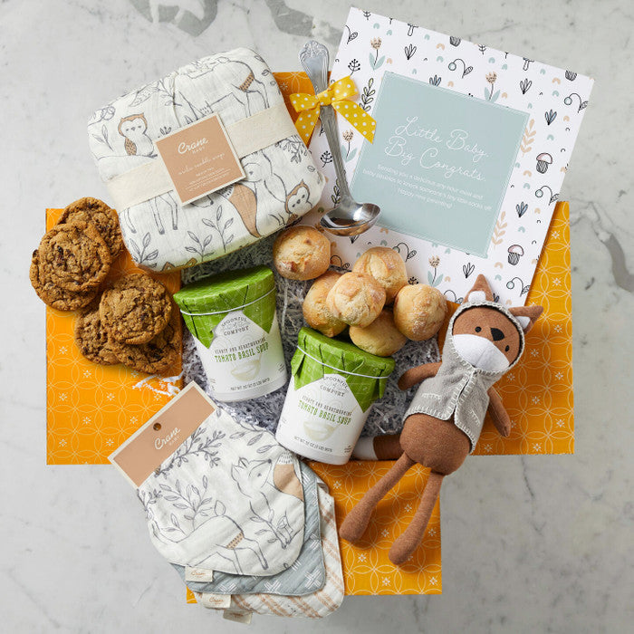 Ultimate New Parent Package